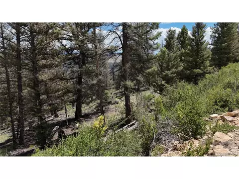 1396 Middle Fork Vis, Fairplay, CO 80440 photo 13