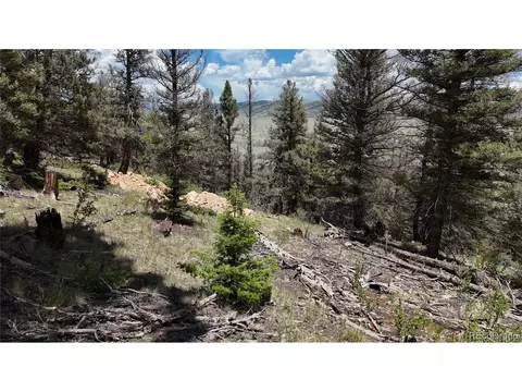 1396 Middle Fork Vis, Fairplay, CO 80440 photo 11