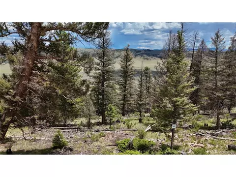 1396 Middle Fork Vis, Fairplay, CO 80440