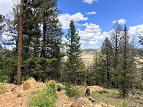 1396 Middle Fork Vis, Fairplay, CO 80440 photo 18