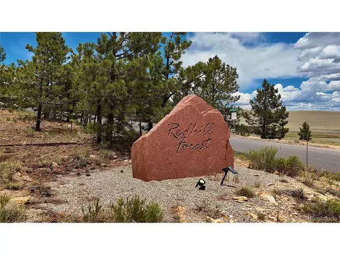 1396 Middle Fork Vis, Fairplay, CO 80440 photo 20