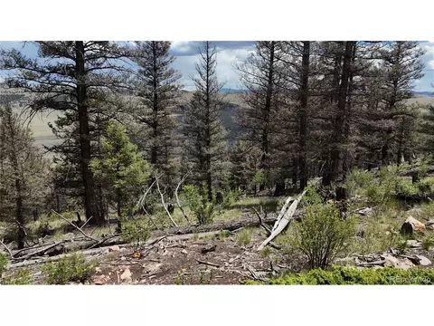 1396 Middle Fork Vis, Fairplay, CO 80440 photo 10