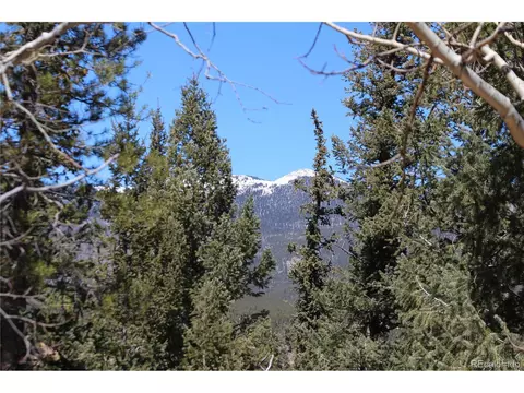 219 Wise Rd, Bailey, CO 80421