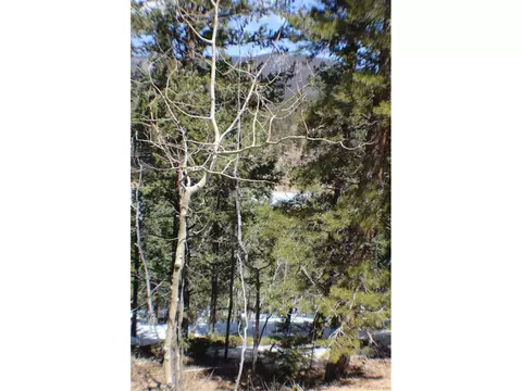 219 Wise Rd, Bailey, CO 80421 photo 4
