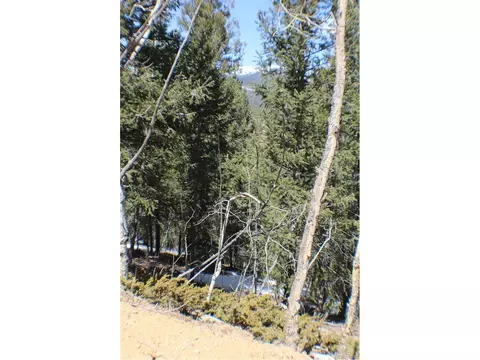 219 Wise Rd, Bailey, CO 80421 photo 3