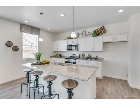 7419 E 159th Pl, Thornton, CO 80602 photo 10