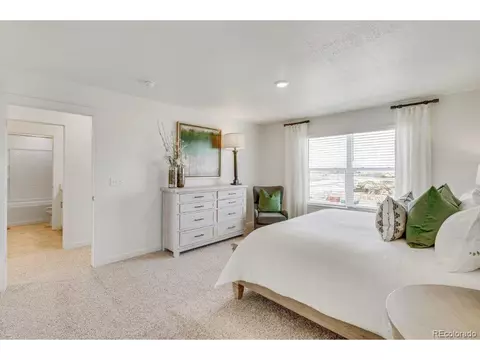 7419 E 159th Pl, Thornton, CO 80602 photo 19