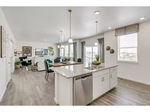 7419 E 159th Pl, Thornton, CO 80602 photo 13