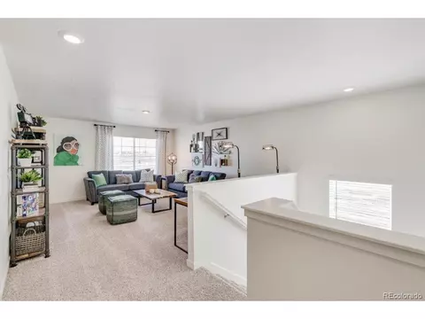 7419 E 159th Pl, Thornton, CO 80602 photo 16