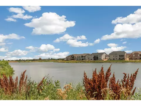 7419 E 159th Pl, Thornton, CO 80602 photo 29