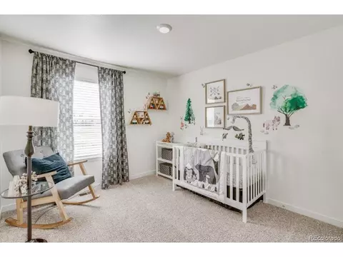 7419 E 159th Pl, Thornton, CO 80602 photo 23