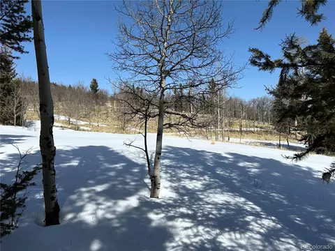 Tipi Ct, Jefferson, CO 80456 photo 28