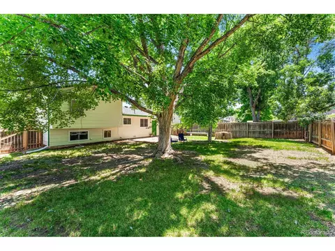 4619 S Alkire St, Morrison, CO 80465 photo 21