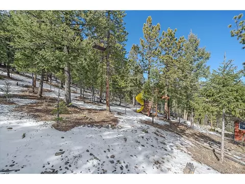 Exterior - 48 High View Ln, Bailey, CO 80421 photo 8 of 10
