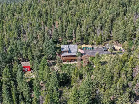9691 S Warhawk Rd, Conifer, CO 80433 photo 36