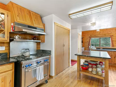 9691 S Warhawk Rd, Conifer, CO 80433 photo 13