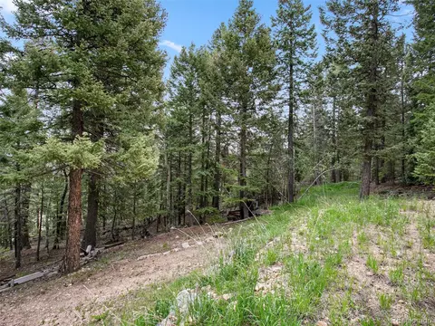 9691 S Warhawk Rd, Conifer, CO 80433 photo 33
