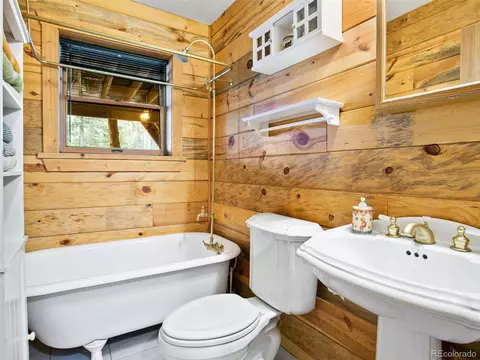 9691 S Warhawk Rd, Conifer, CO 80433 photo 24