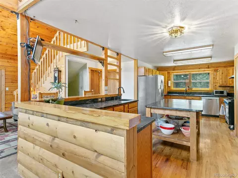 9691 S Warhawk Rd, Conifer, CO 80433 photo 11