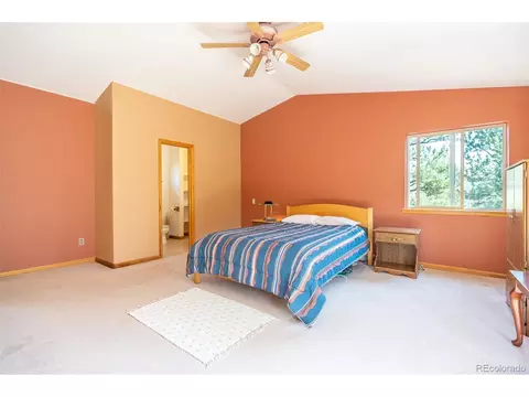 124 Tall Timber Ln, Bailey, CO 80421 photo 11