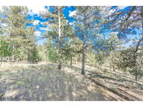 124 Tall Timber Ln, Bailey, CO 80421 photo 35