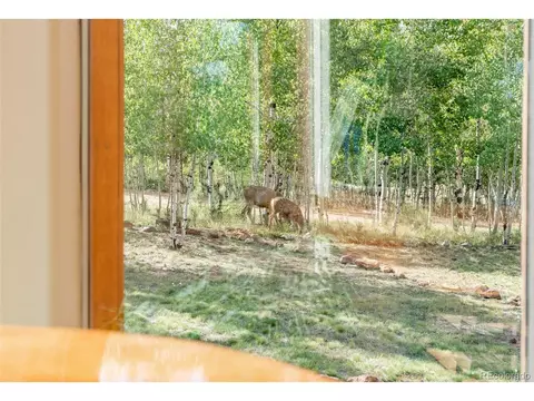 124 Tall Timber Ln, Bailey, CO 80421 photo 9