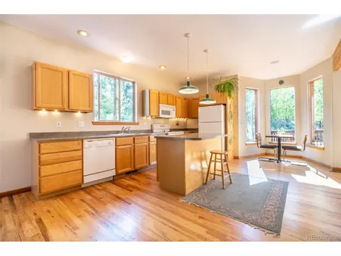 124 Tall Timber Ln, Bailey, CO 80421 photo 6