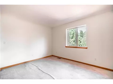 124 Tall Timber Ln, Bailey, CO 80421 photo 21