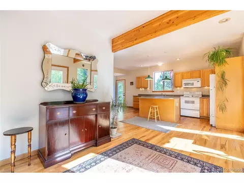 124 Tall Timber Ln, Bailey, CO 80421 photo 5
