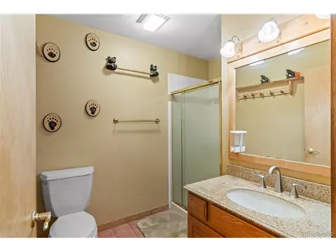 868 Deer Path Rd, Dillon, CO 80435 photo 36