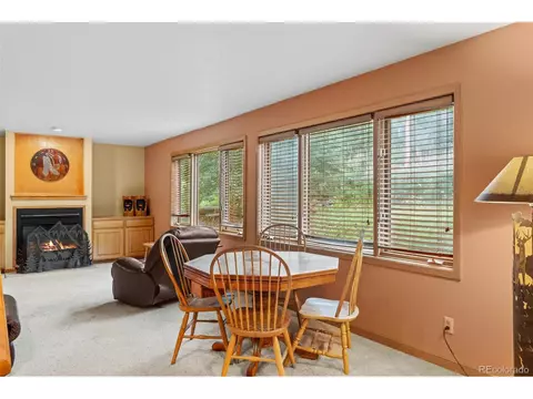 868 Deer Path Rd, Dillon, CO 80435 photo 28