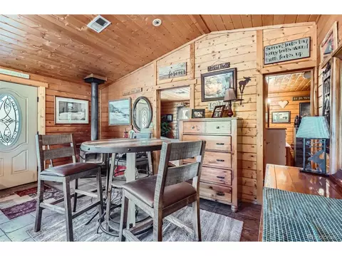 398 Gross Rd, Bailey, CO 80421 photo 15