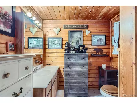 398 Gross Rd, Bailey, CO 80421 photo 22