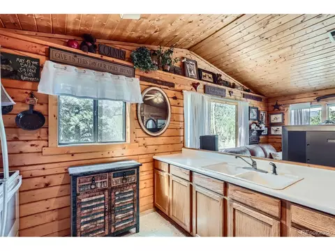 398 Gross Rd, Bailey, CO 80421 photo 10
