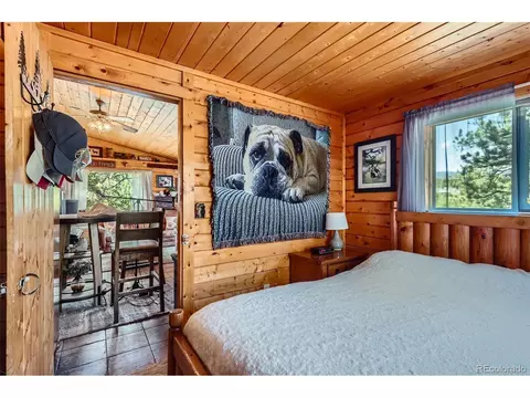 398 Gross Rd, Bailey, CO 80421 photo 19