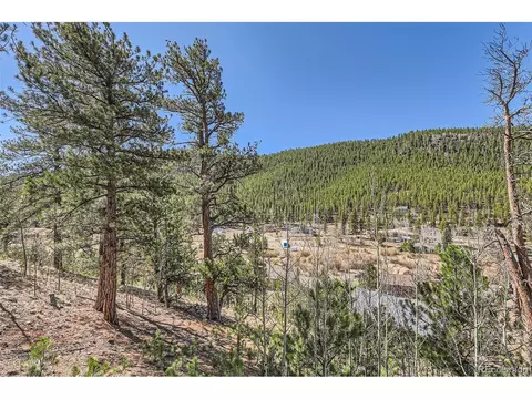 398 Gross Rd, Bailey, CO 80421 photo 28