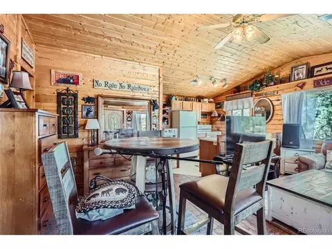 398 Gross Rd, Bailey, CO 80421 photo 16