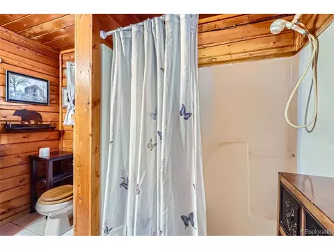 398 Gross Rd, Bailey, CO 80421 photo 21