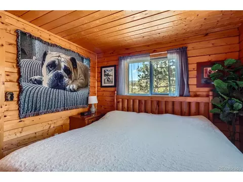 398 Gross Rd, Bailey, CO 80421 photo 18