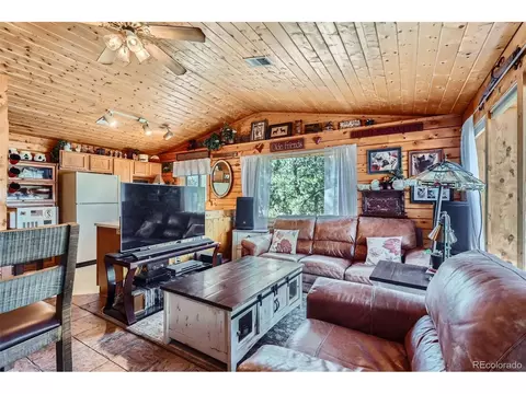 398 Gross Rd, Bailey, CO 80421 photo 5