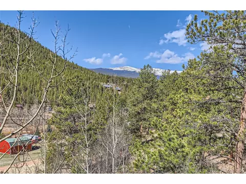 398 Gross Rd, Bailey, CO 80421 photo 27