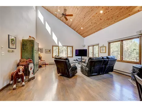 411 Spring Dr, Pine, CO 80470 photo 15