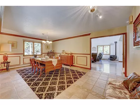411 Spring Dr, Pine, CO 80470 photo 14