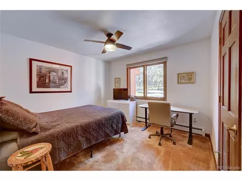 411 Spring Dr, Pine, CO 80470 photo 12
