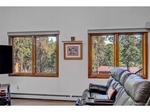 411 Spring Dr, Pine, CO 80470 photo 36