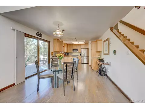 411 Spring Dr, Pine, CO 80470 photo 17