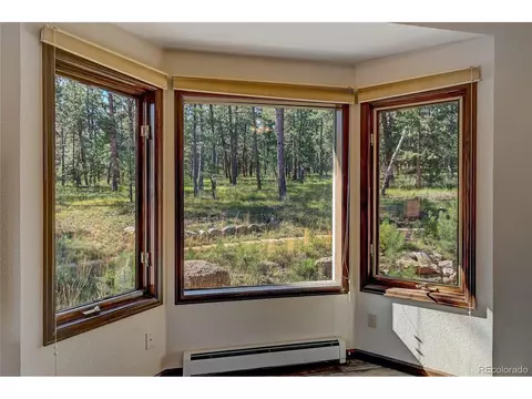 411 Spring Dr, Pine, CO 80470 photo 32