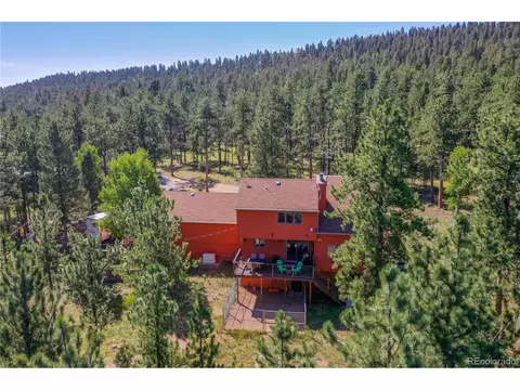 411 Spring Dr, Pine, CO 80470 photo 4