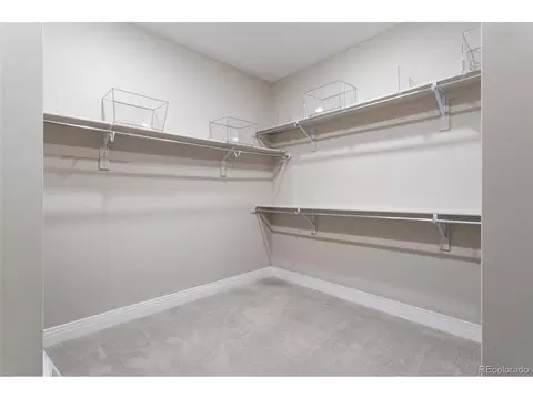 9409 E 57th Pl, Denver, CO 80238 photo 29