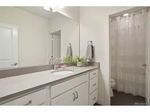 9409 E 57th Pl, Denver, CO 80238 photo 39